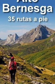 ALTO BERNESGA