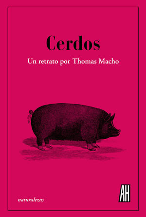 CERDOS *