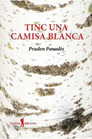 TINC UNA CAMISA BLANCA *