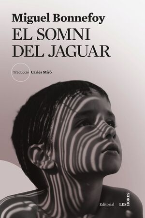 EL SOMNI DEL JAGUAR *