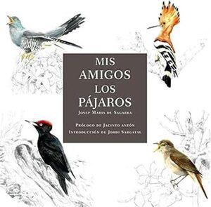 MIS AMIGOS LOS PÁJAROS *