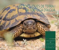 LES TORTUGUES DE TERRA I LA TORTUGA D'AIGUA A LES ILLES BALEARS