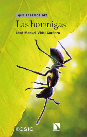 LAS HORMIGAS *