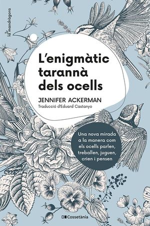 L'ENIGMÀTIC TARANNÀ DELS OCELLS *