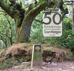 CAMÍ DE SANT JAUME: 50 LLOCS AMB ENCANT DE SOMPORT I RONCESVALLS A SANTIAGO *