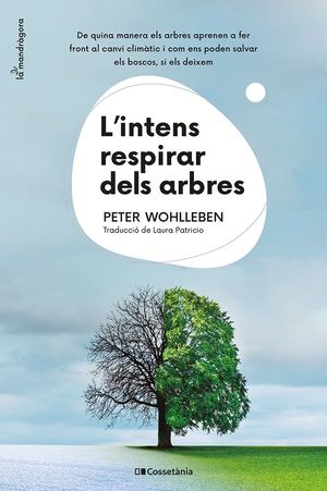 L'INTENS RESPIRAR DELS ARBRES *