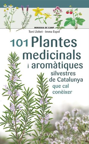 101 PLANTES MEDICINALS I AROMÀTIQUES SILVESTRES DE CATALUNYA *