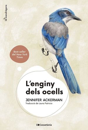 L'ENGINY DELS OCELLS *