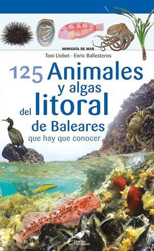 125 ANIMALES Y ALGAS DEL LITORAL DE BALEARES QUE HAY QUE CONOCER *