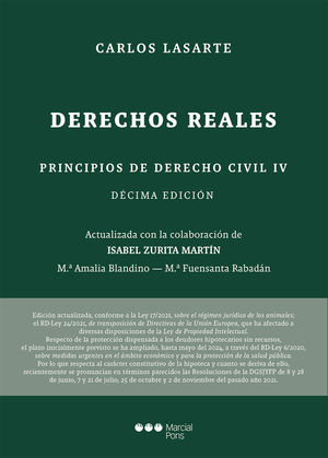 PRINCIPIOS DE DERECHO CIVIL. TOMO IV:   10ª ED. *