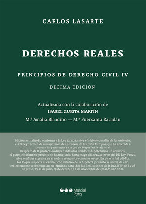 PRINCIPIOS DE DERECHO CIVIL. TOMO IV:   10ª ED. *