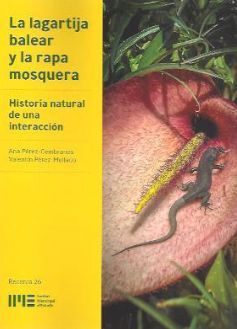 LA LAGARTIJA BALEAR Y LA RAPA MOSQUERA (POR ENCARGO 10-15 DÍAS APROX.) *