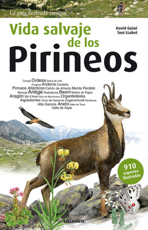 VIDA SALVAJE DE LOS PIRINEOS *