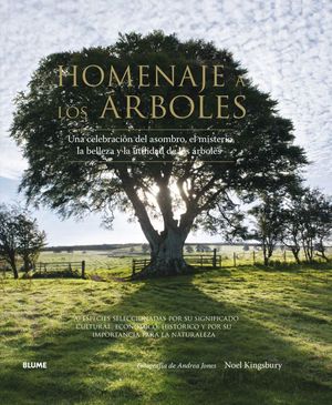 HOMENAJE A LOS ÁRBOLES *