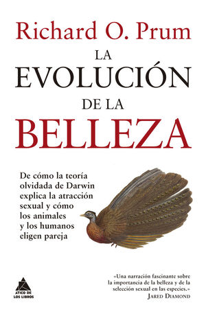 LA EVOLUCIÓN DE LA BELLEZA *