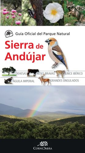 GUÍA OFICIAL DEL PARQUE NATURAL SIERRA DE ANDÚJAR *