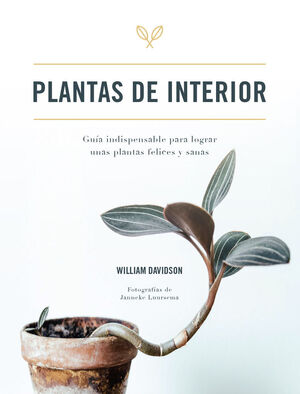 PLANTAS DE INTERIOR*