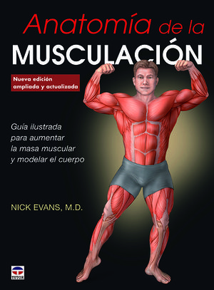 ANATOMÍA DE LA MUSCULACIÓN *