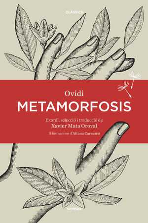 METAMORFOSIS *