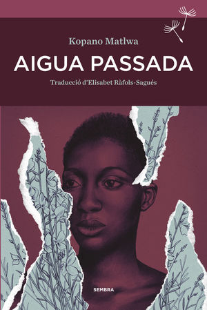 AIGUA PASSADA *