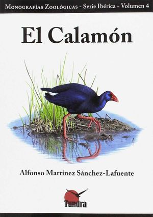 EL CALAMÓN *