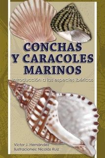 CONCHAS Y CARACOLES MARINOS