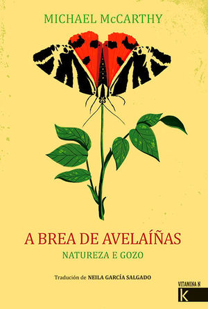 A BREA DE AVELAÍÑAS *