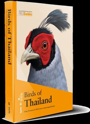 BIRDS OF THAILAND *