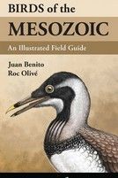 BIRDS OF THE MESOZOIC