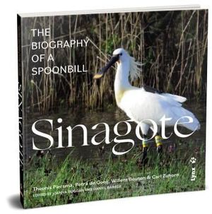 SINAGOTE, THE BIOGRAPHY OF A SPOONBILL *