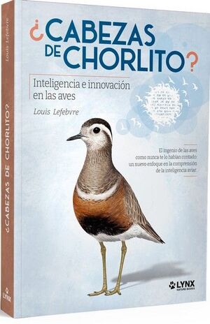 CABEZAS DE CHORLITO INTELIGENCIA E INNOVACION EN LAS AVES *