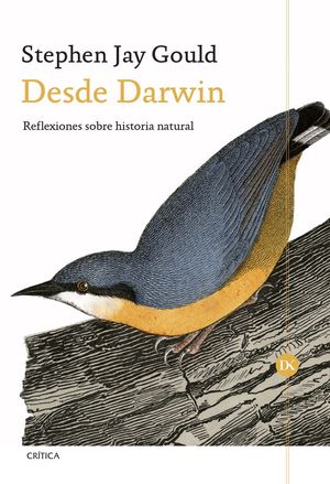 DESDE DARWIN *