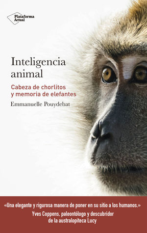 INTELIGENCIA ANIMAL *