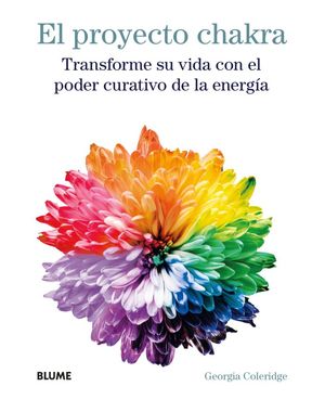 EL PROYECTO CHAKRA *