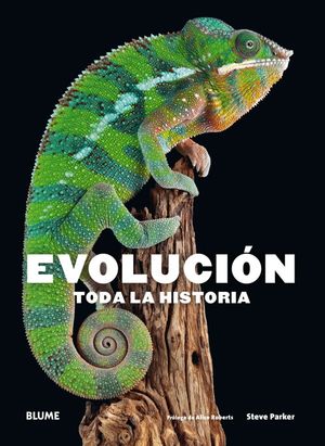 EVOLUCIÓN