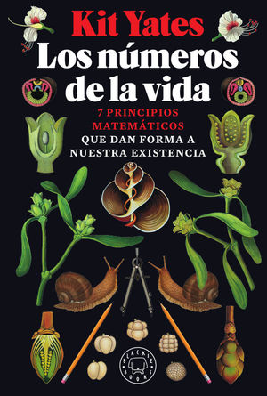 LOS NÚMEROS DE LA VIDA *