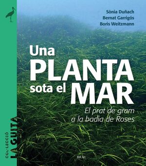 UNA PLANTA SOTA EL MAR *