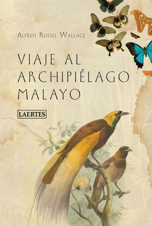 VIAJE AL ARCHIPIÉLAGO MALAYO *