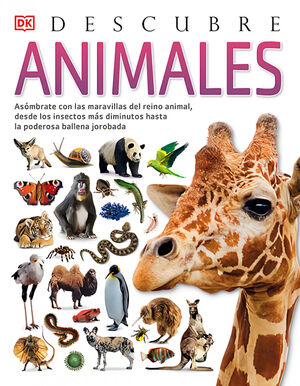 ANIMALES, DESCUBRE *