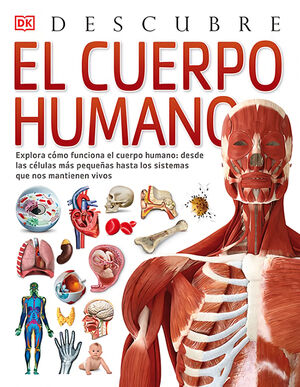 EL CUERPO HUMANO, DESCUBRE *