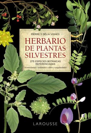 HERBARIO DE PLANTAS SILVESTRES *
