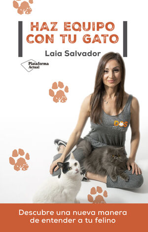 HAZ EQUIPO CON TU GATO *