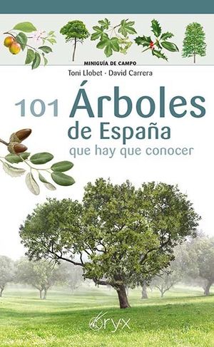 101 ÁRBOLES DE ESPAÑA *