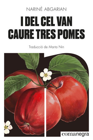 I DEL CEL VAN CAURE TRES POMES *