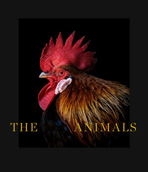 THE ANIMALS *