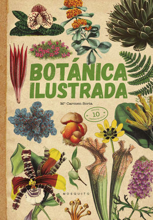 BOTÁNICA ILUSTRADA  *