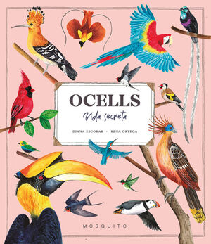 OCELLS. VIDA SECRETA *