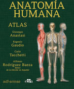 ANATOMÍA HUMANA. ATLAS 2.ª ED. *