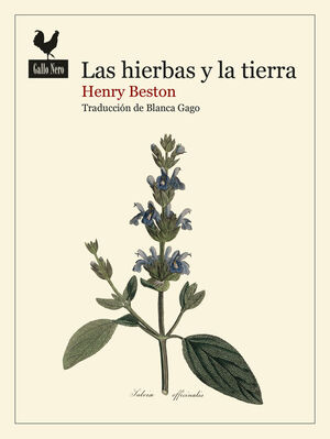 LAS HIERBAS Y LA TIERRA *