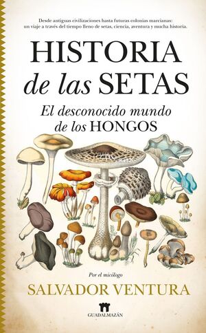 HISTORIA DE LAS SETAS *